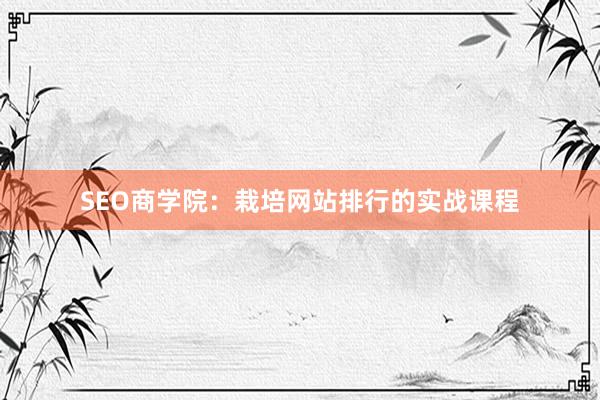 SEO商学院：栽培网站排行的实战课程