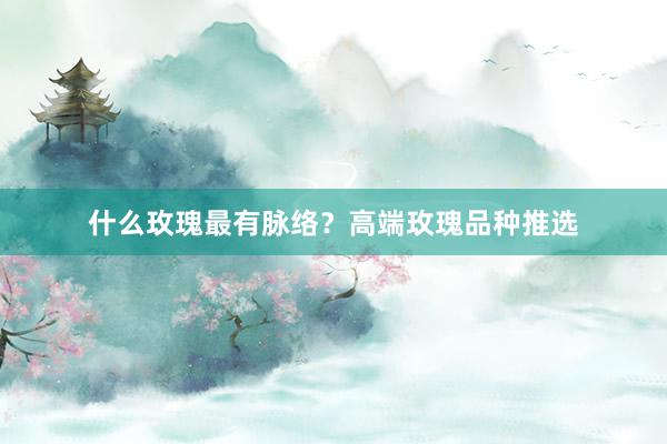 什么玫瑰最有脉络？高端玫瑰品种推选