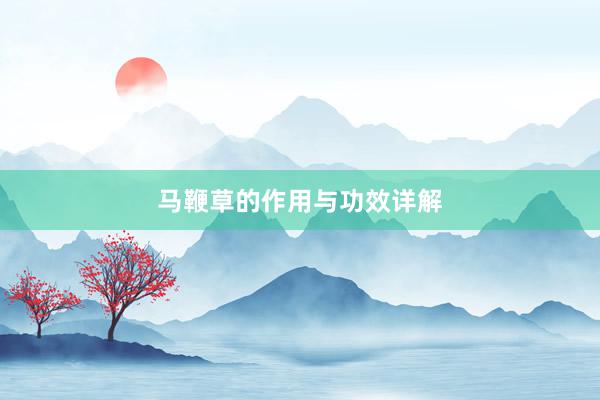 马鞭草的作用与功效详解
